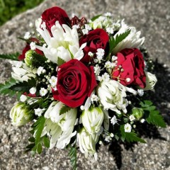 Seller Image