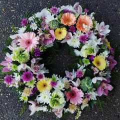 Seller Image