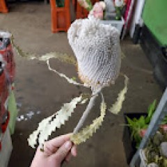 Seller Image