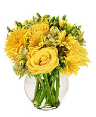Seller Image