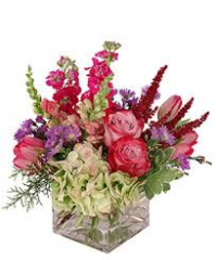 Seller Image