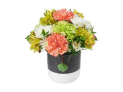 Seller Image
