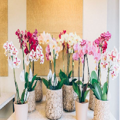 Seller Image