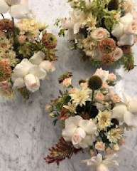 Seller Image