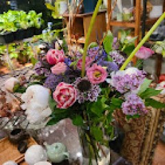 Seller Image