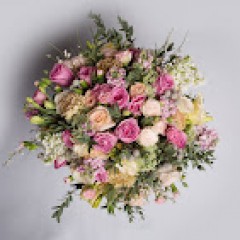 Seller Image