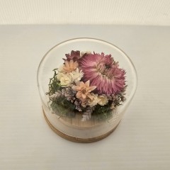 Seller Image