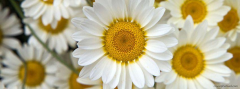 Seller Image