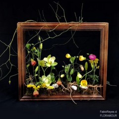 Seller Image