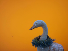 Seller Image