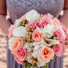 Seller Image