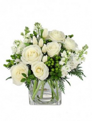 Seller Image