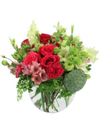 Seller Image