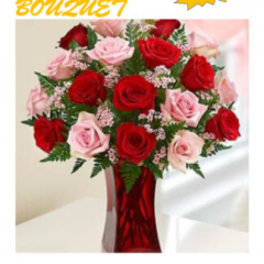 Seller Image