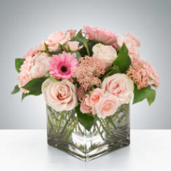 Seller Image