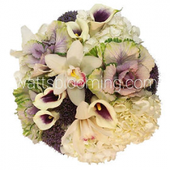 Seller Image