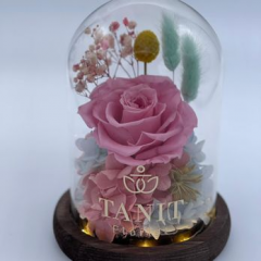 Seller Image