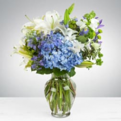 Seller Image