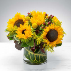Seller Image