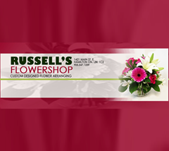 Seller Logo