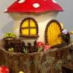 Seller Image