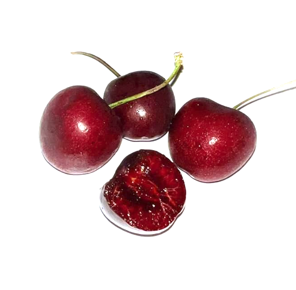 Seller Image