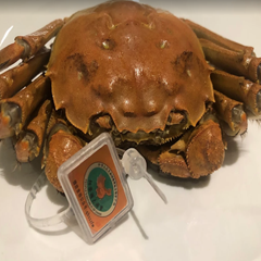 Seller Image