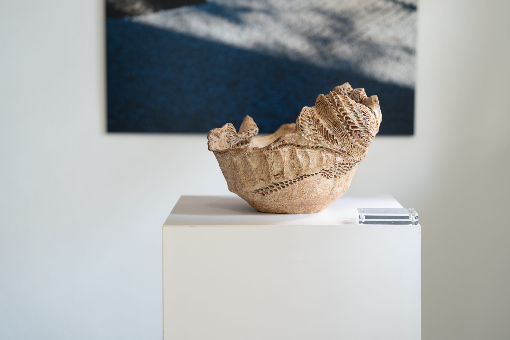 Seller Image