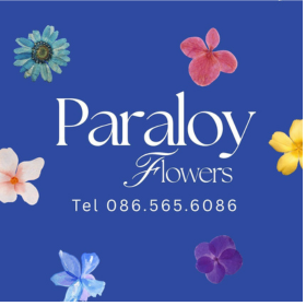Seller Logo