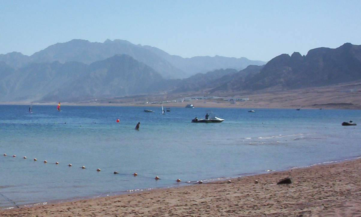 Seller Image