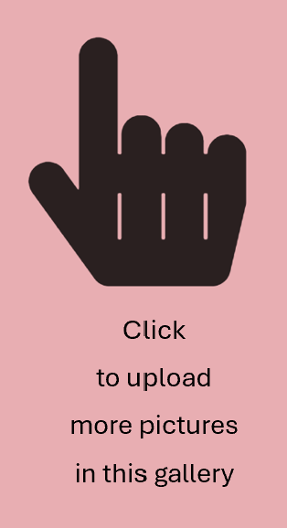 Click to upload more